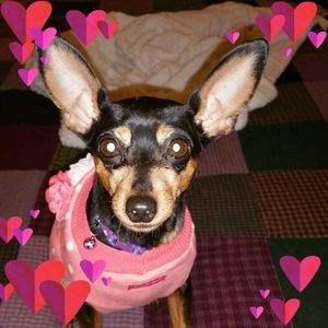 Meet your Posher, Cindy